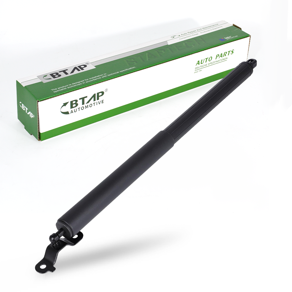 Trunk Gas Spring