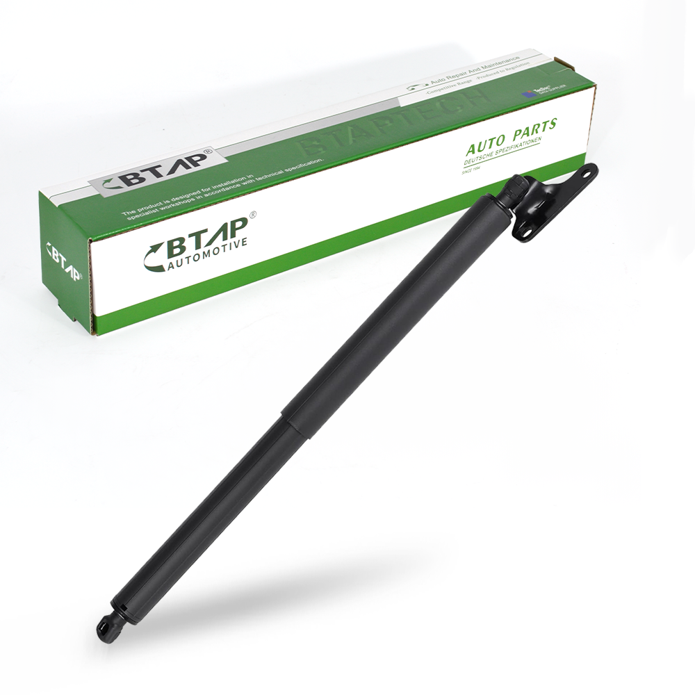Trunk Gas Spring