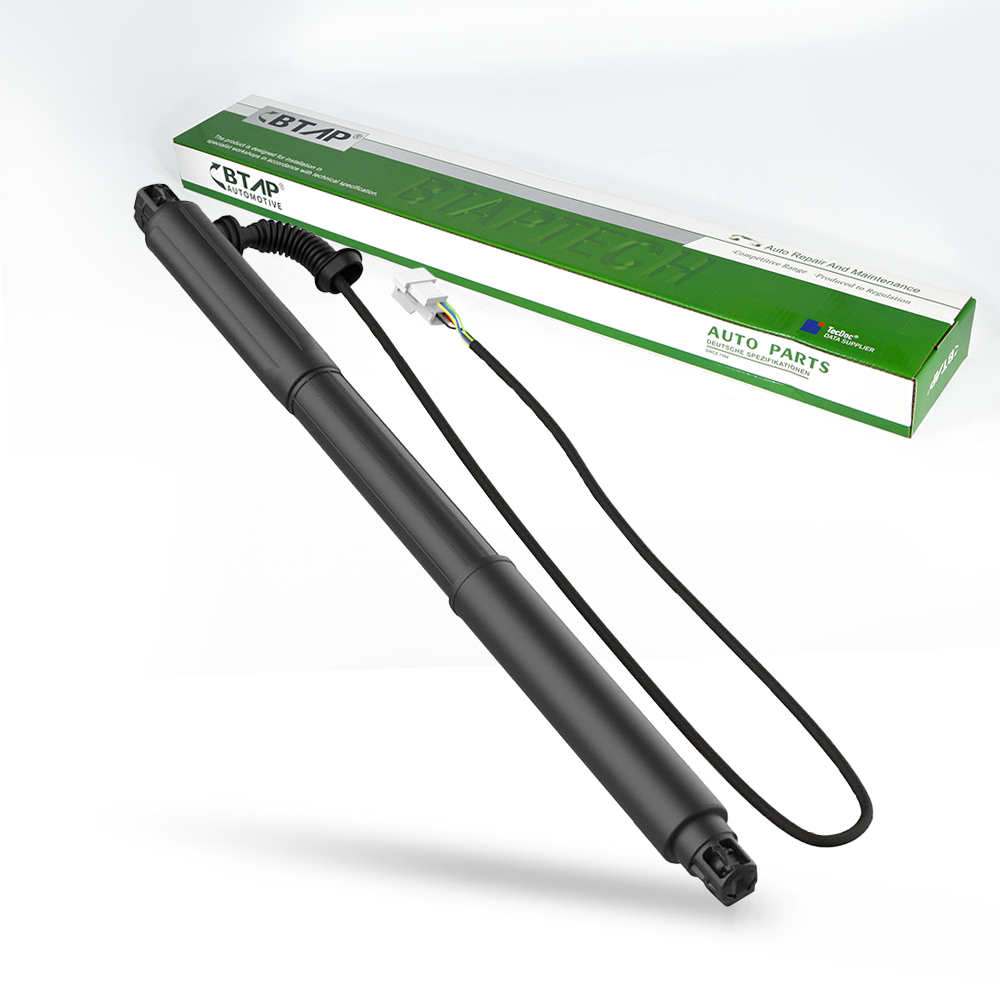 Trunk Gas Spring